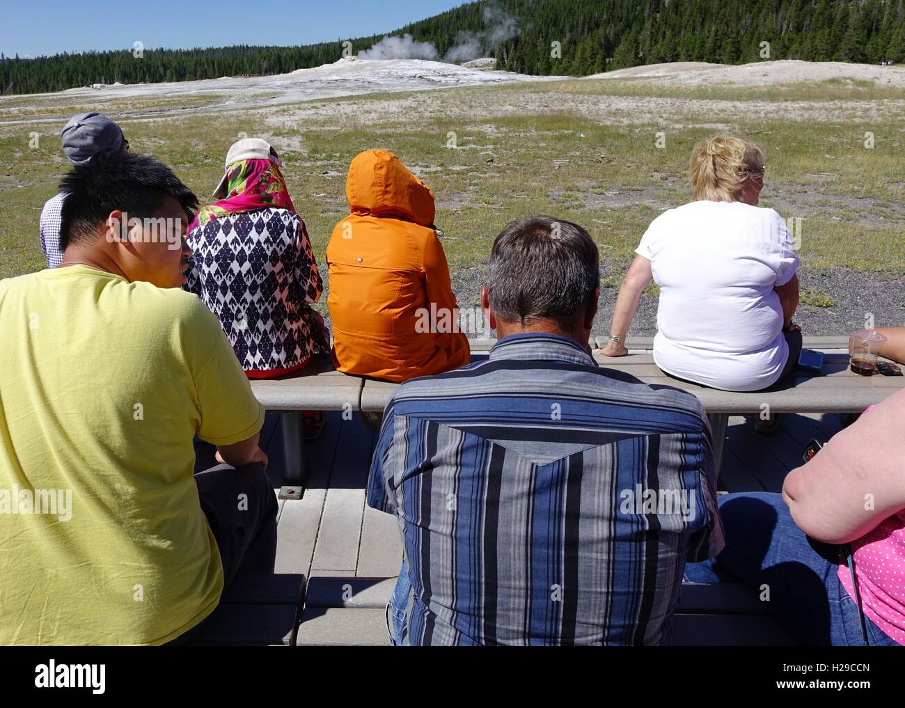 Observar a la gente aumento de vapor del Old Faithful Geyser, esperando a que estallen. El Parque Nacional de Yellowstone. Foto de stock