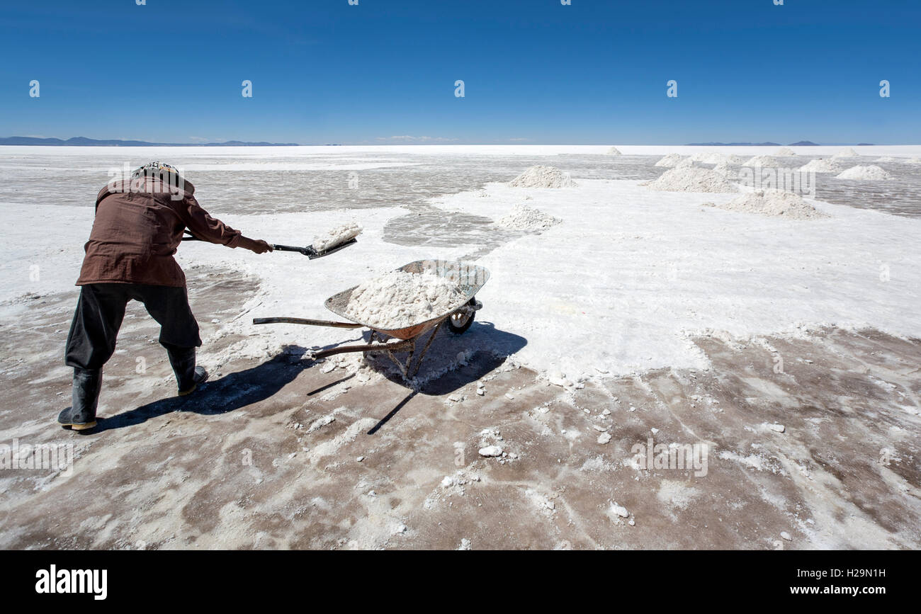Trabajador recoger sal. El Salar de Uyuni. Bolivia Foto de stock