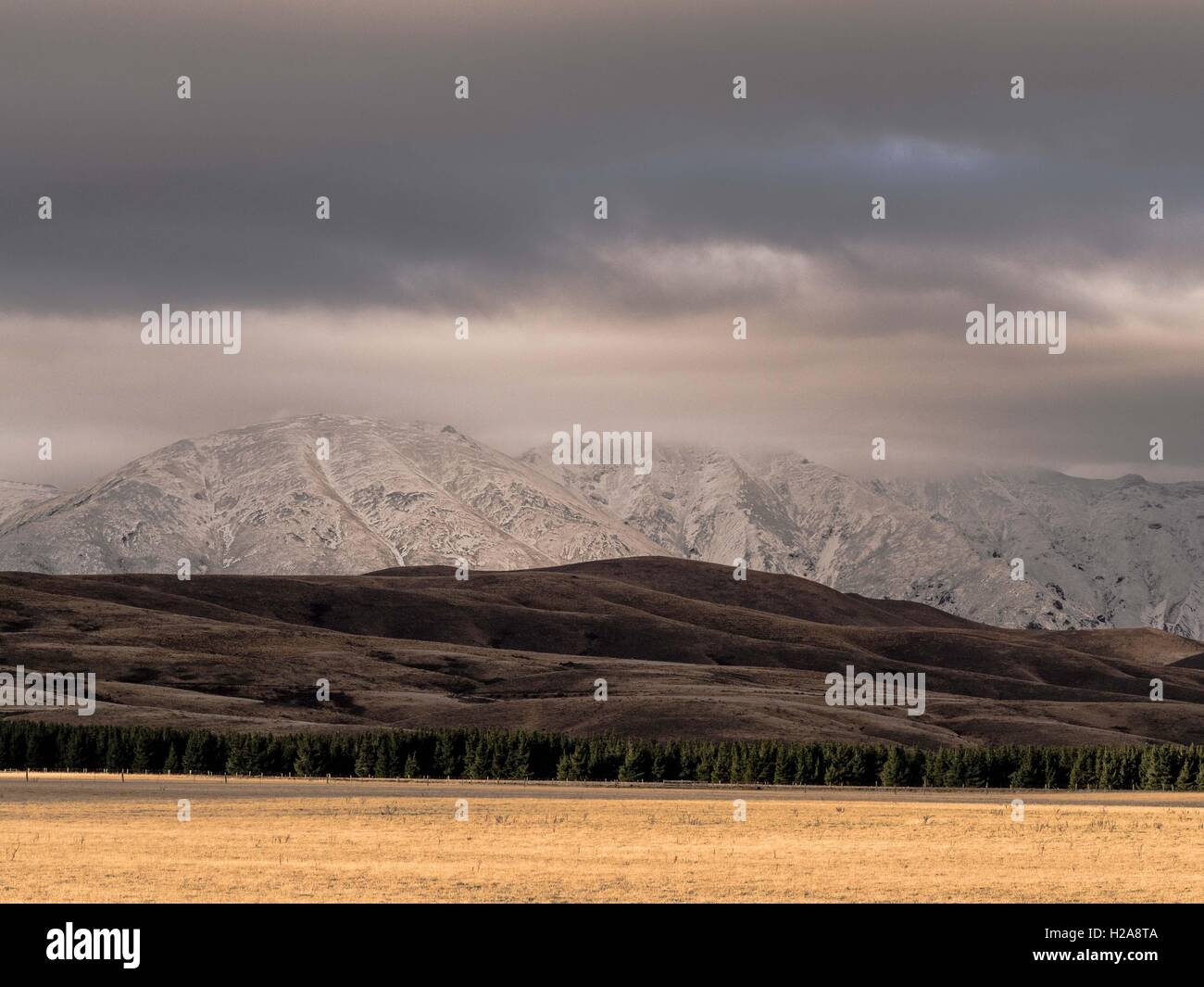 Central Otago paisaje Hawkdun gama tonos marrones y crema y pliegues de laminación rastrojo nivel Maniototo, Isla del Sur, Nueva Zelanda invierno Foto de stock