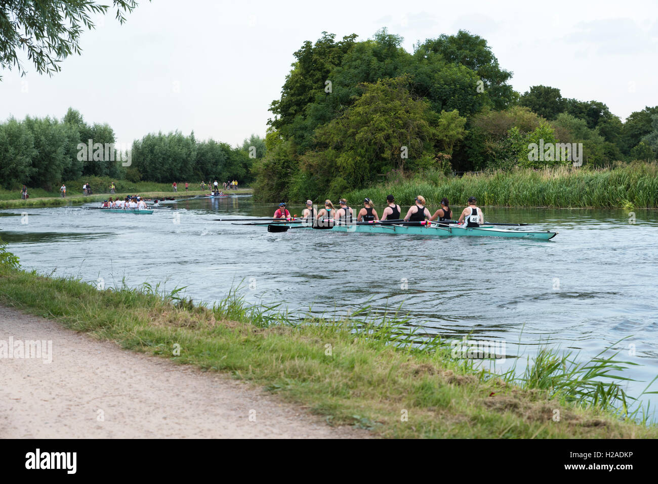 Barrido fino barcos coxed ochos tomando parte en Cambridge golpes sobre el río Cam CAMBRIDGE CAMBRIDGE Inglaterra 2016 Foto de stock