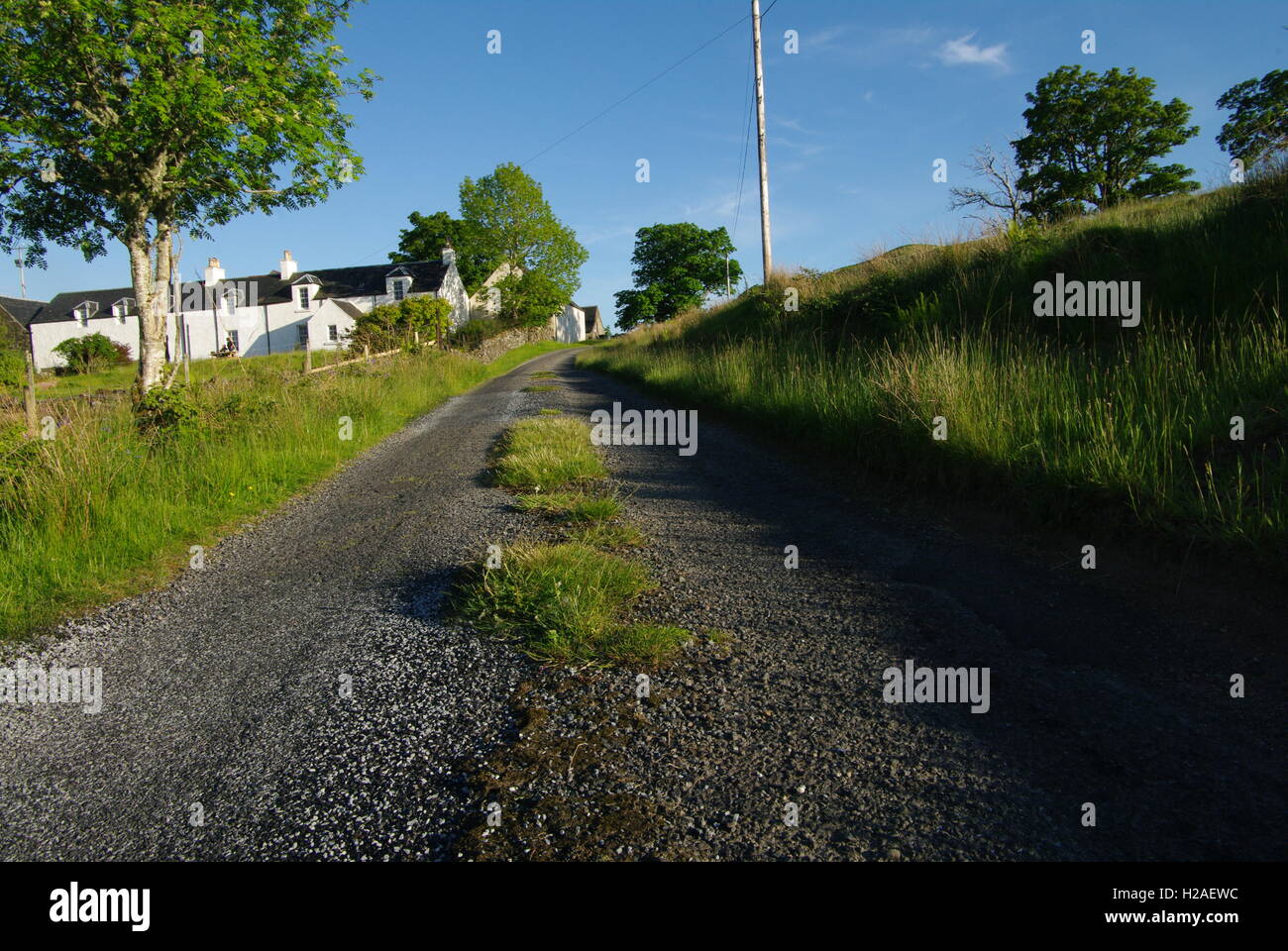 La carretera de Lochdon a punto de césped en la isla de Mull, Escocia Foto de stock