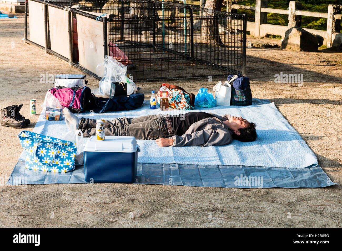 El Japón. Parque Japonés con hombre dormido sobre láminas de plástico azules en el sol, teniendo lugar por la oficina parte de flor de cerezo que se celebrará más adelante. Foto de stock