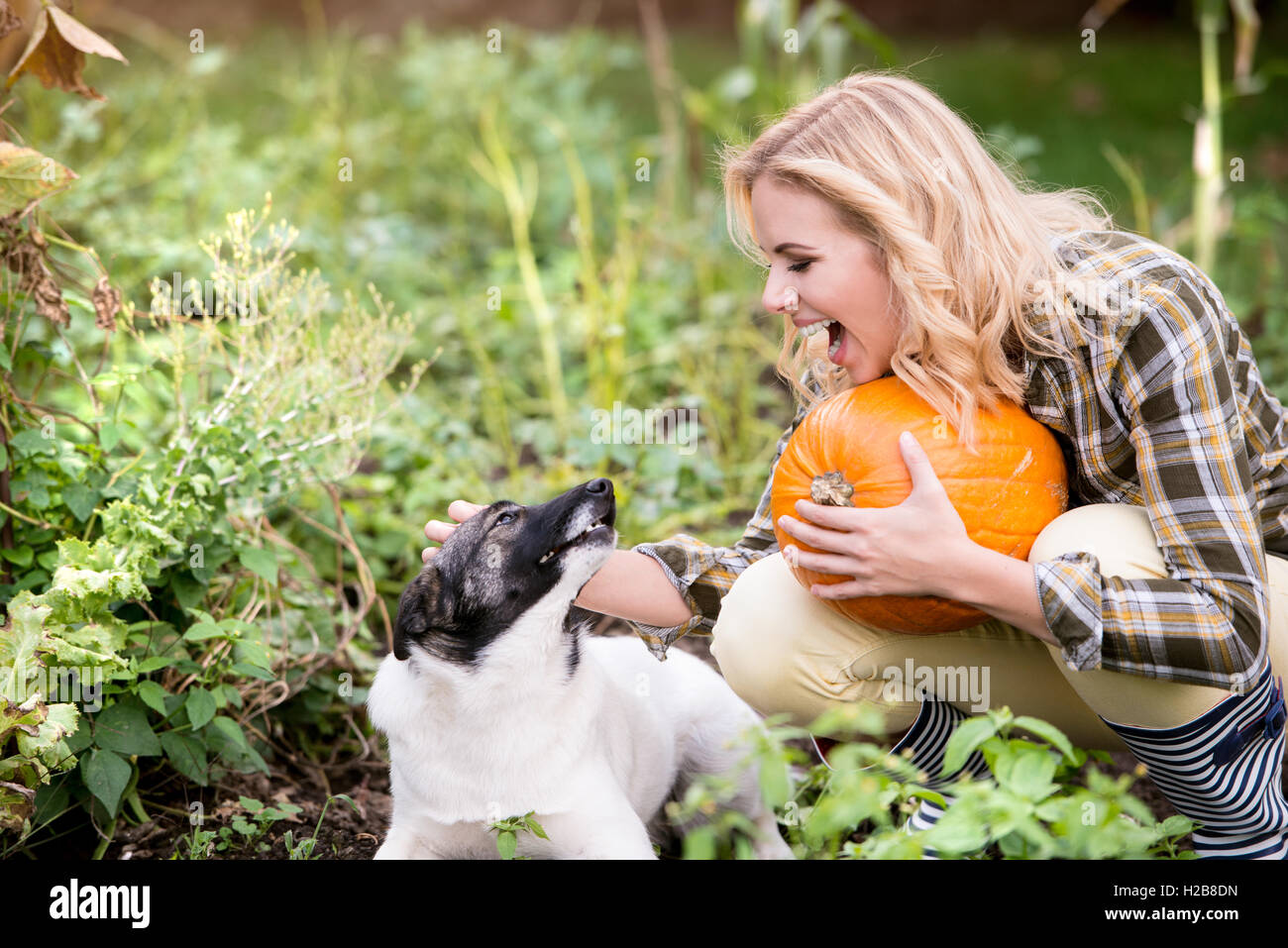 Mujer rubia con perro fotografías e imágenes de alta resolución - Alamy