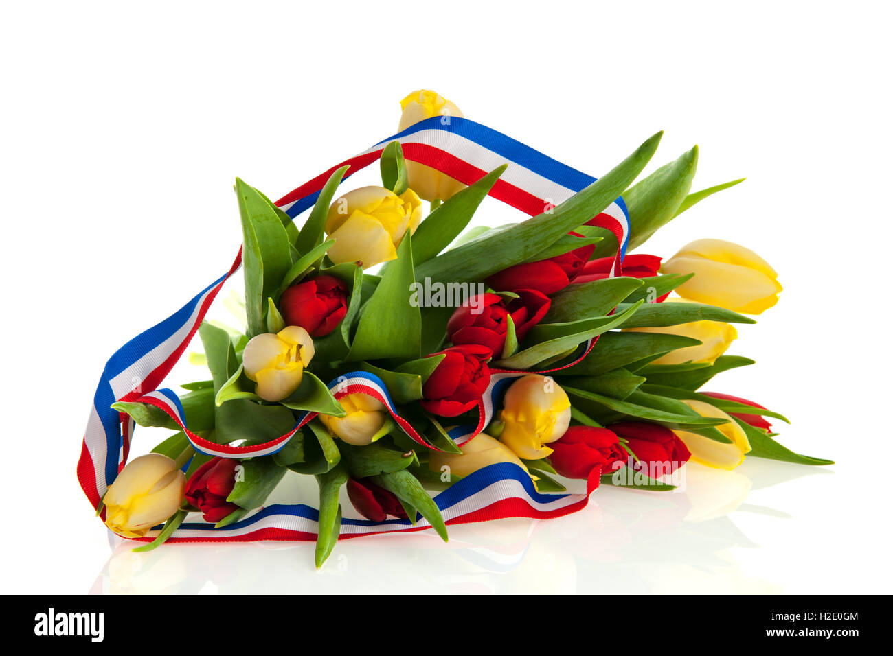 Tulipanes holandeses Foto de stock