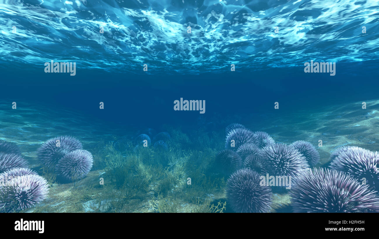 Anémonas underwater Foto de stock