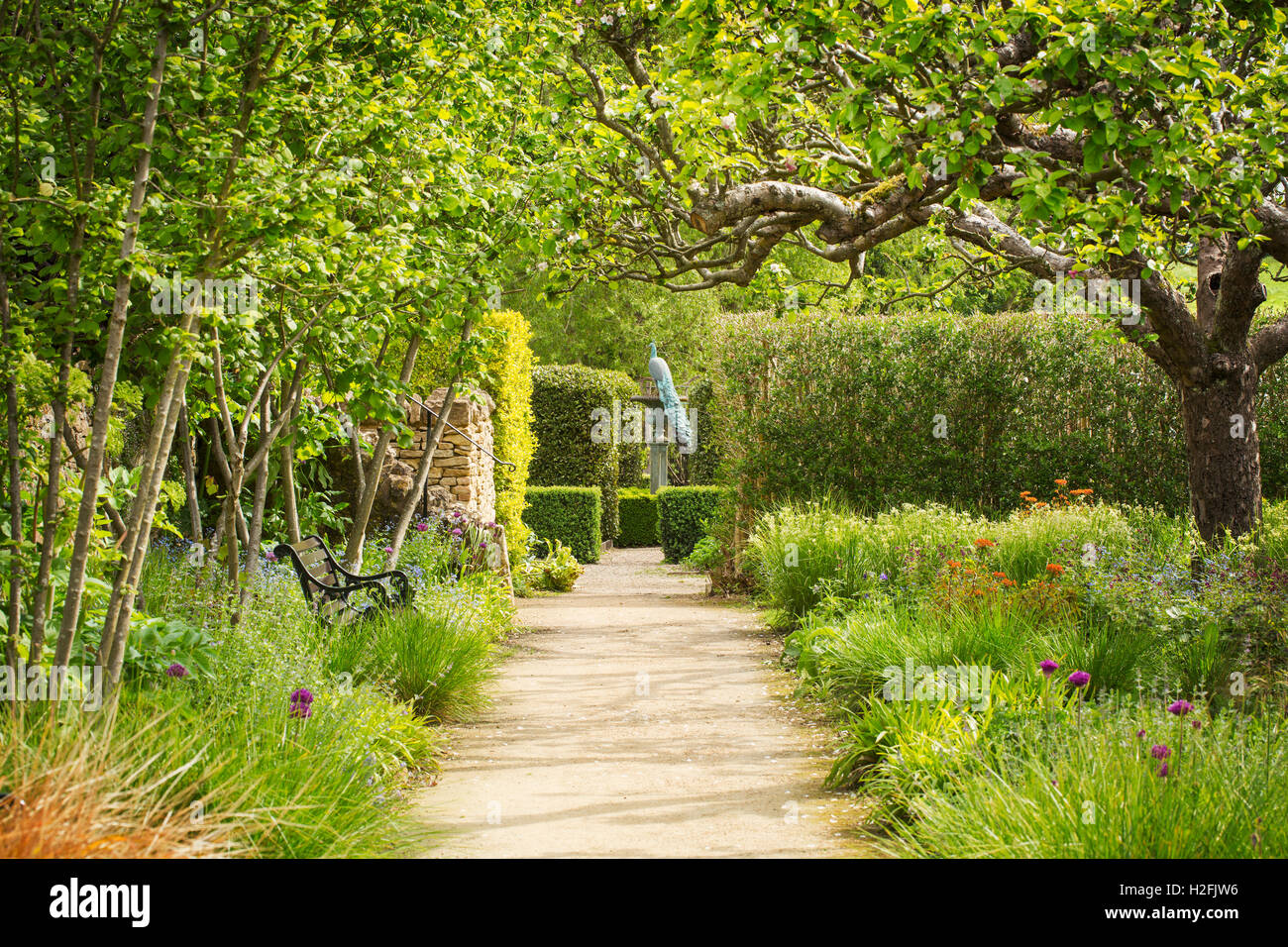 Una ruta entre bordes florales en un jardín con árboles en flor, y setos de la vivienda. Un pavo real encaramado sobre un reloj de sol. Foto de stock