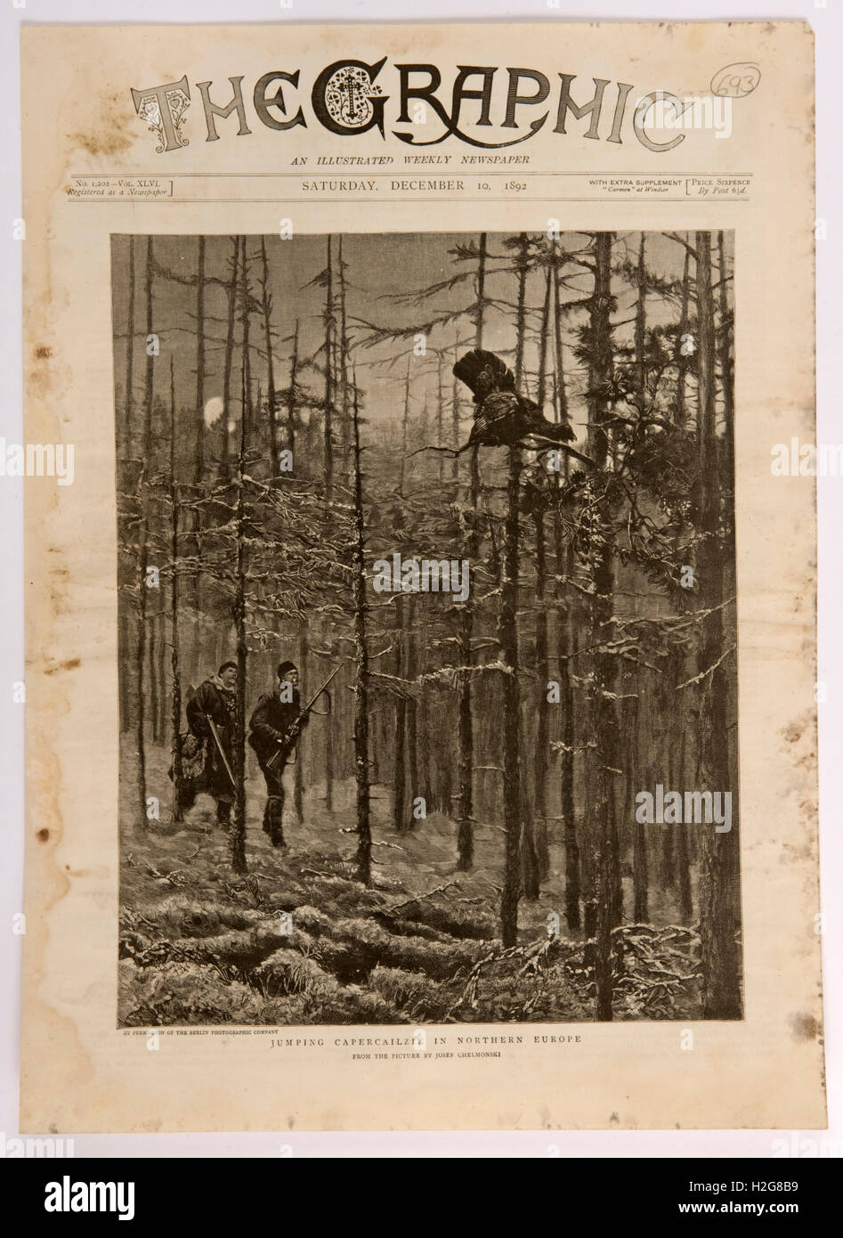 Portada de el gráfico ilustra un periódico semanal desde el 10 de diciembre de 1892, mostrando una Capercailie siendo cazado en un bosque i Foto de stock
