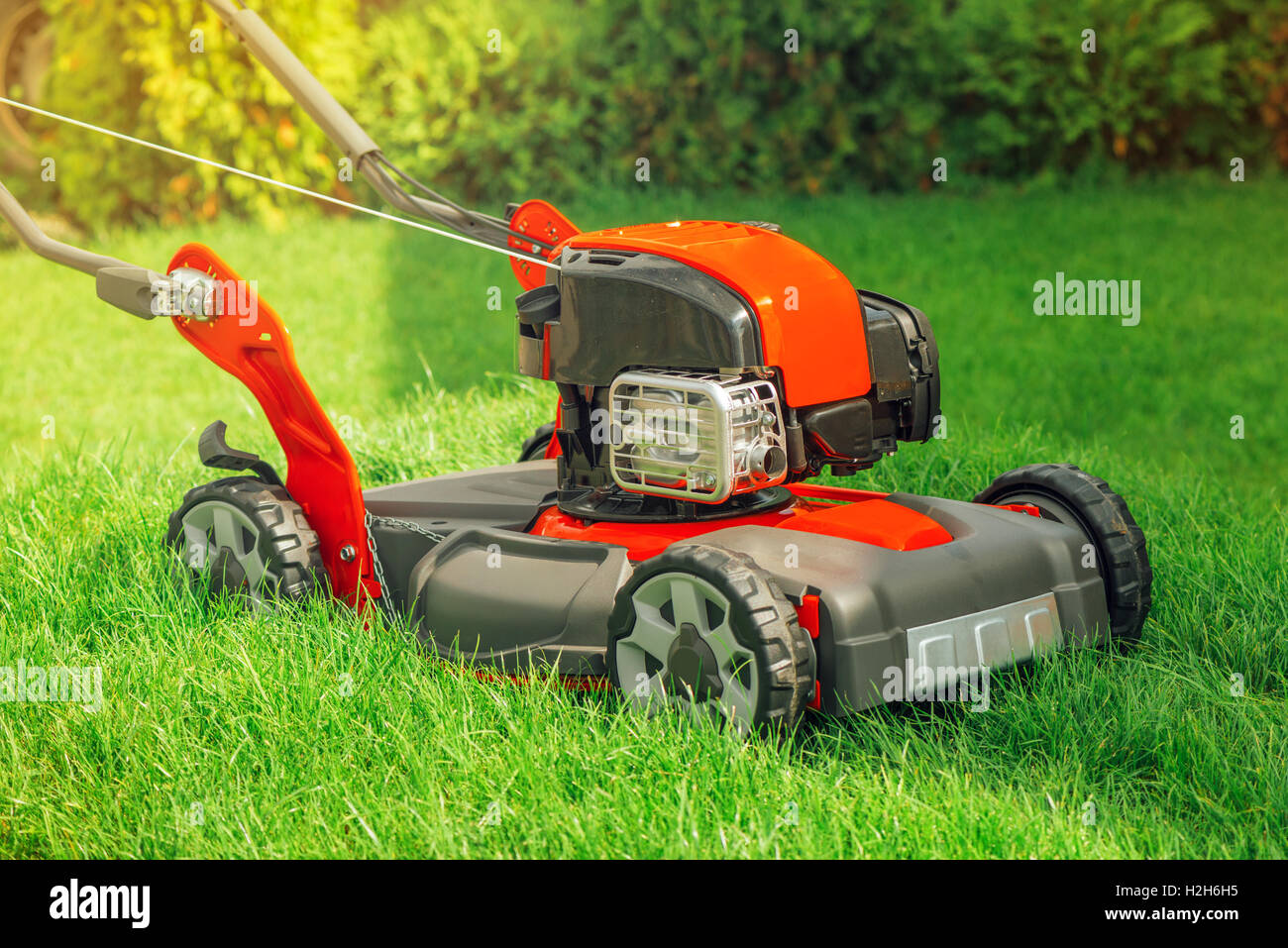 Gasolina moderno powered rotary empujar la cortadora de césped de hierba en  el patio de la casa Fotografía de stock - Alamy