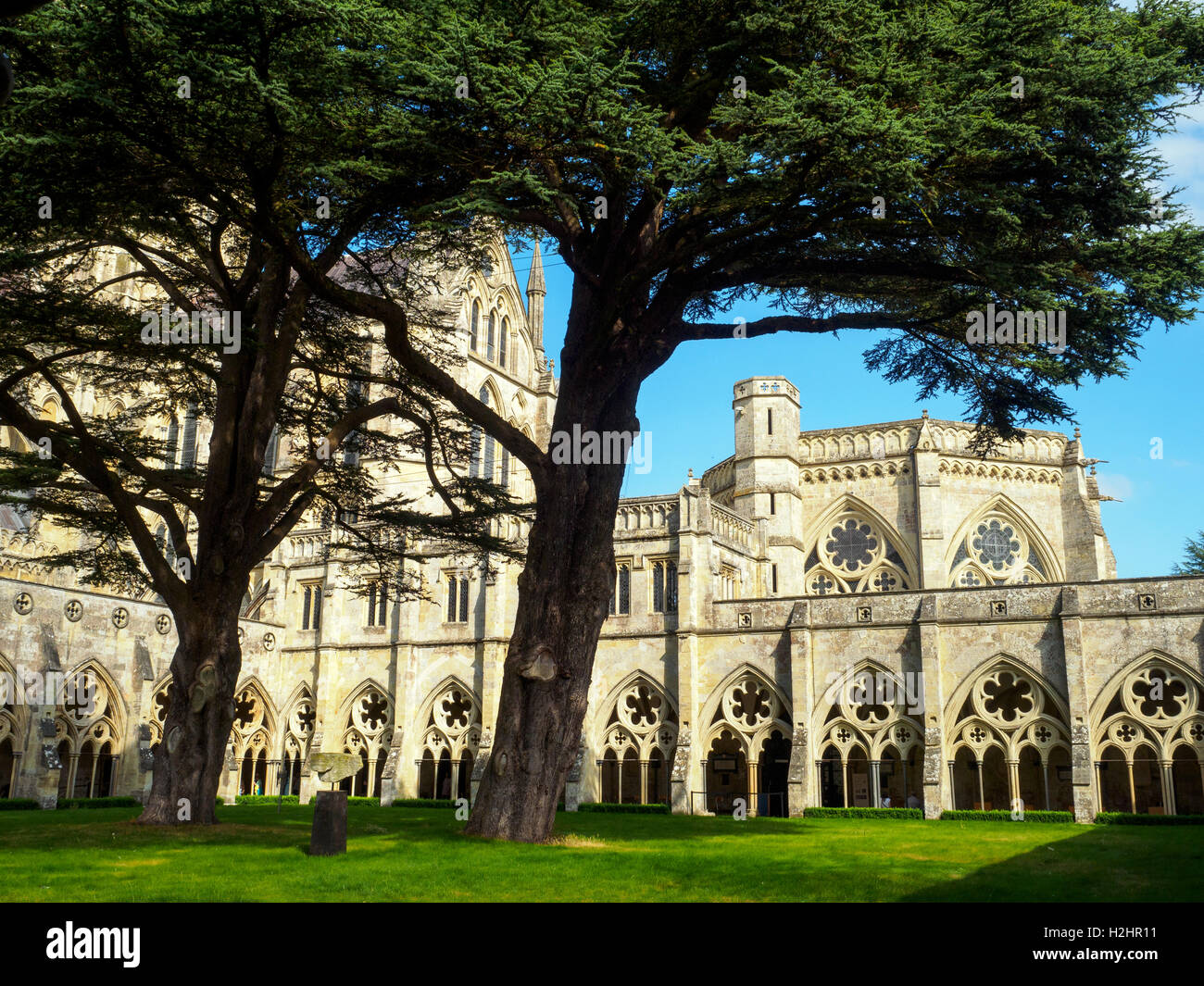 La Catedral de Salisbury o Iglesia Catedral de la Bienaventurada Virgen María - Wiltshire, Inglaterra Foto de stock