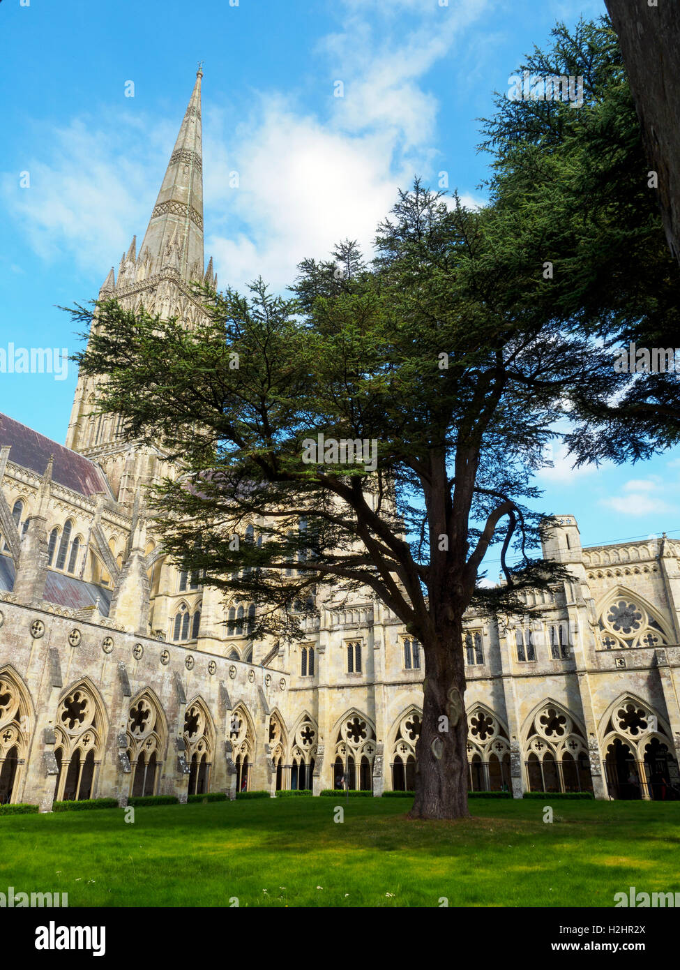 La Catedral de Salisbury o Iglesia Catedral de la Bienaventurada Virgen María - Wiltshire, Inglaterra Foto de stock