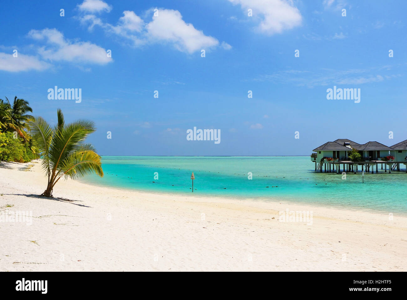 Bungalows en una playa de arena blanca con cocoteros en las Maldivas Foto de stock