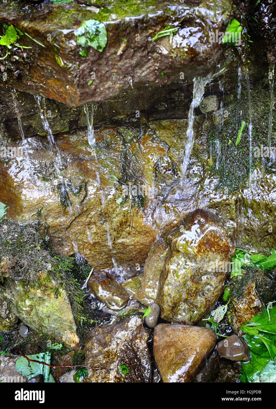 El agua de un pequeño resorte que puede ser usada para beber y cocinar, Reserve Blue Jacuzzis, Sine nervudo, Bieszczady, Parque Nacional. Foto de stock