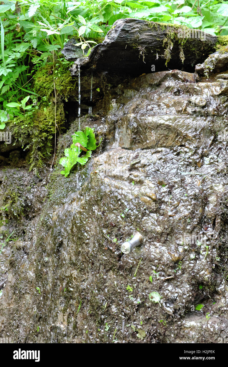 El agua de un pequeño resorte que puede ser usada para beber y cocinar, Reserve Blue Jacuzzis, Sine nervudo, Bieszczady, Parque Nacional. Foto de stock