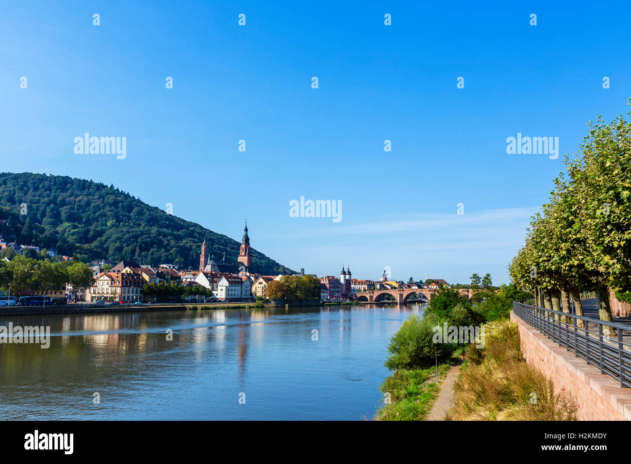 El Río Necke mirando hacia el Altstadt y el Puente Viejo, Heidelberg, Baden-Württemberg, Alemania Foto de stock