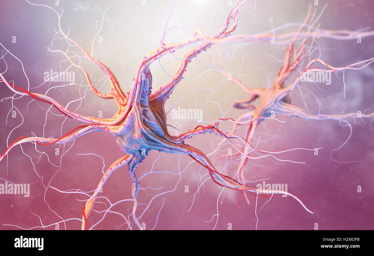 Las neuronas y el sistema nervioso. 3D Render de células nerviosas Foto de stock