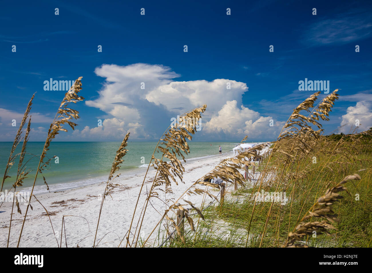 Lighthouse Beach, en Sanibel Island en el Golfo de Mexico al suroeste de la costa de Florida Foto de stock