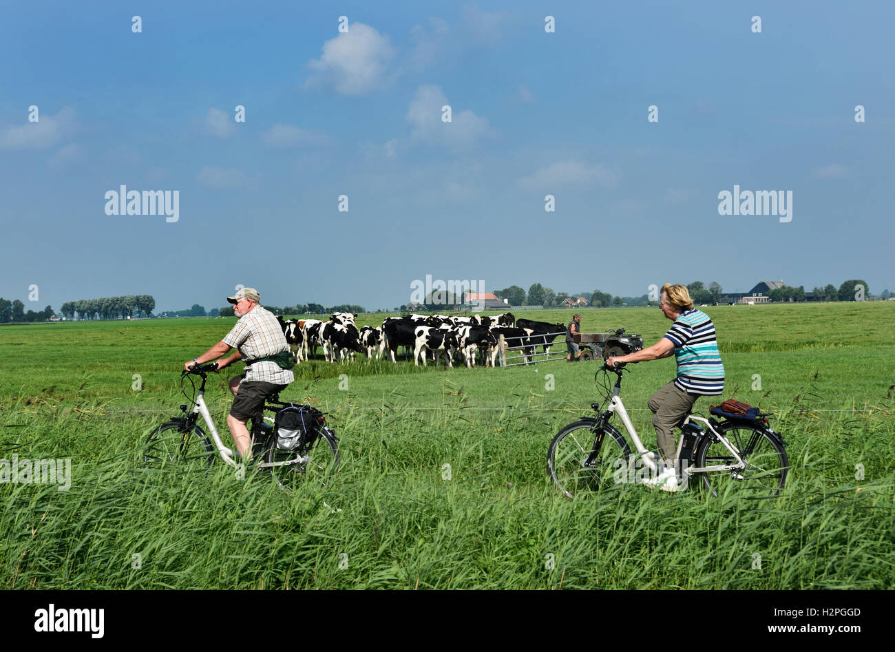 Hombre Mujer Personas Jubiladas vacas Vaca Granja hierba verde paisaje agrícola Frisia Fryslan bicicletas eléctricas ( Países Bajos ). Foto de stock