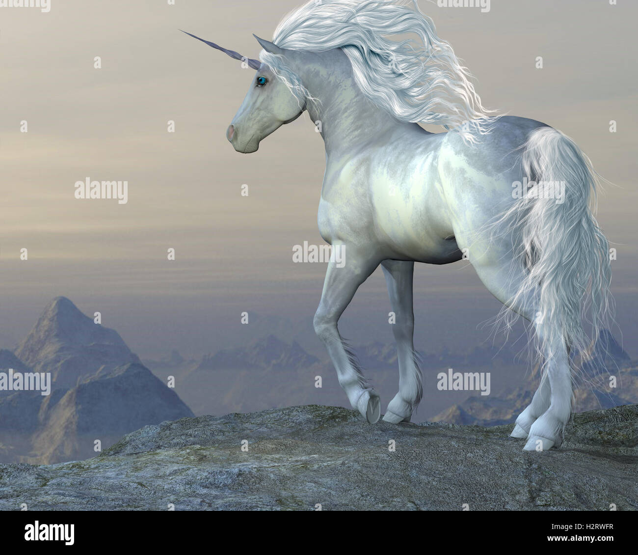 Caballo unicornio fotografías e imágenes de alta resolución - Alamy