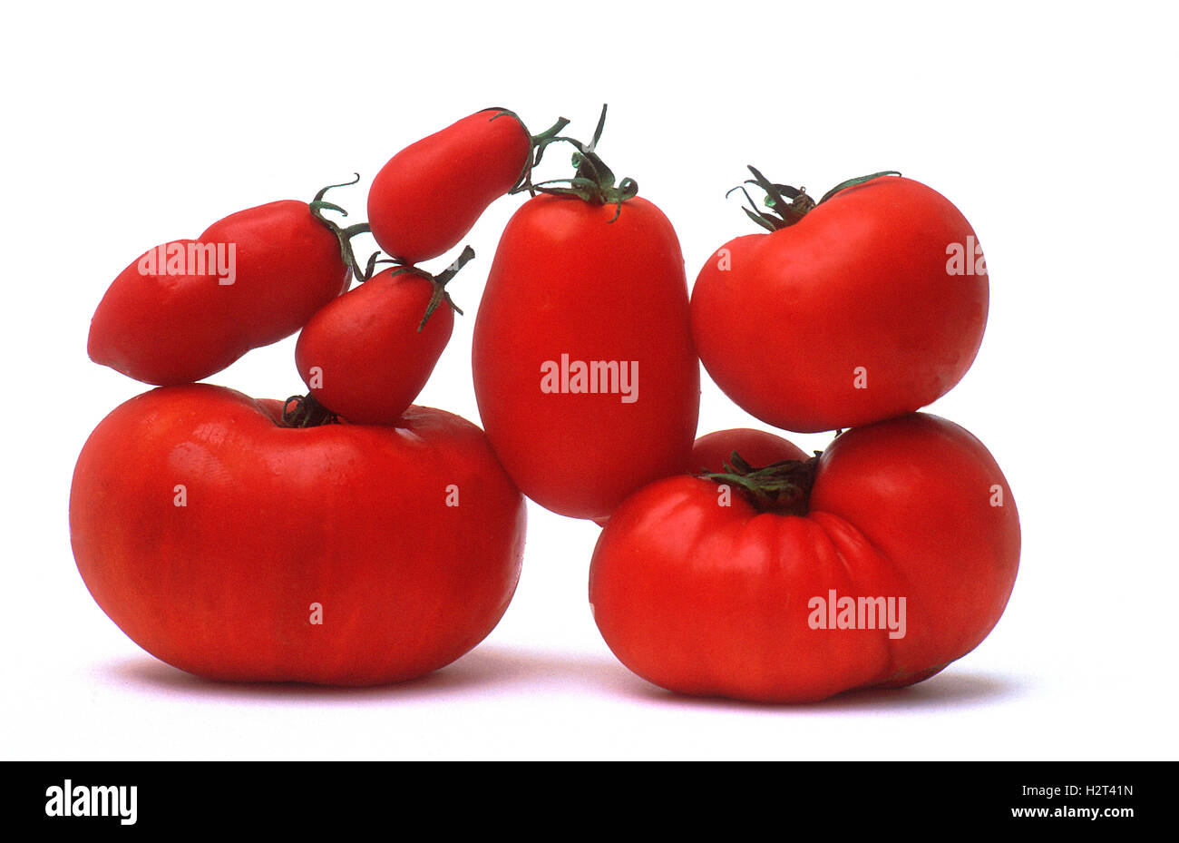 Tomates Foto de stock