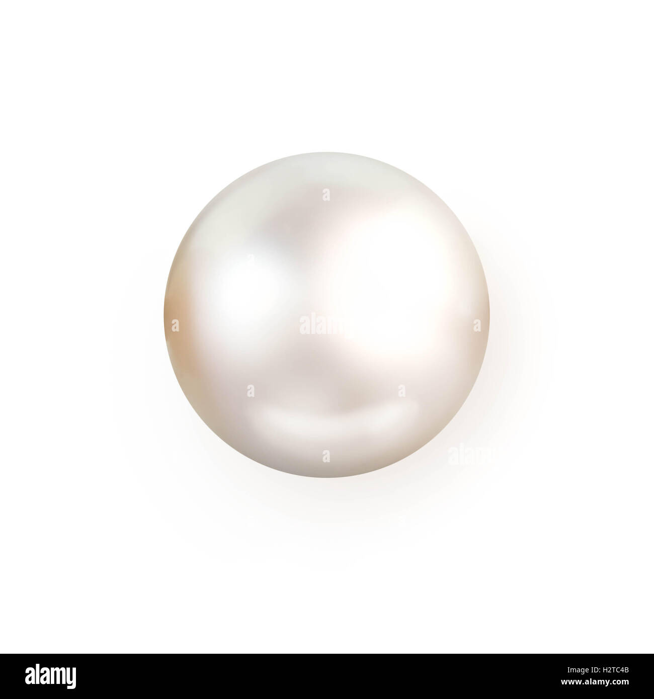 Blanco perla único aislado sobre fondo blanco. Foto de stock