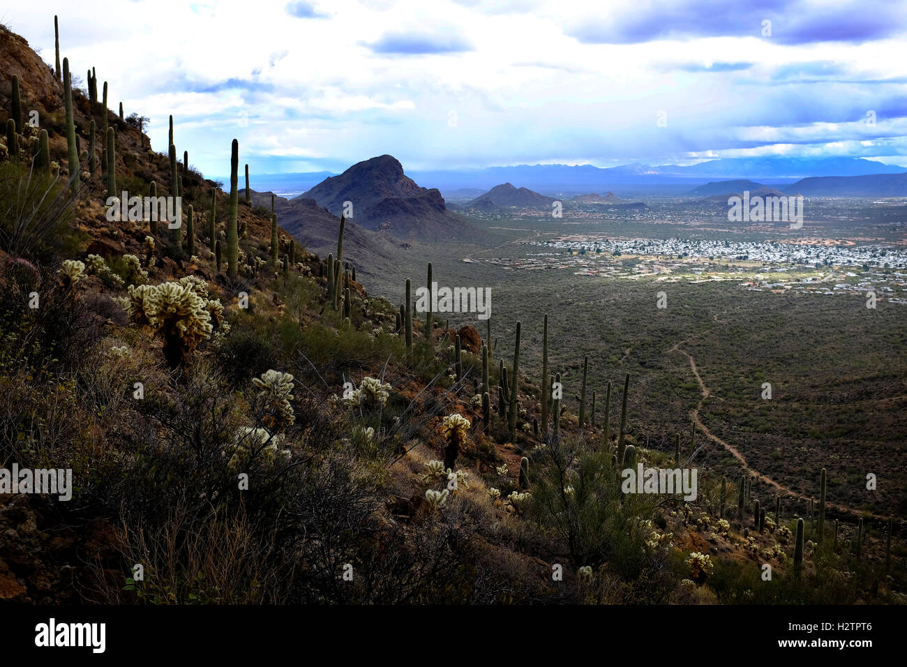 Las montañas del valle de cactus saguaro nubes y el cielo Foto de stock
