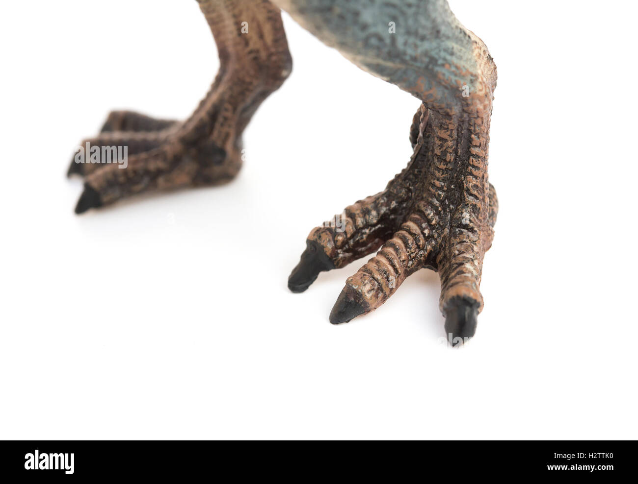 Pies de spinosaurus toy sobre fondo blanco Fotografía de stock - Alamy