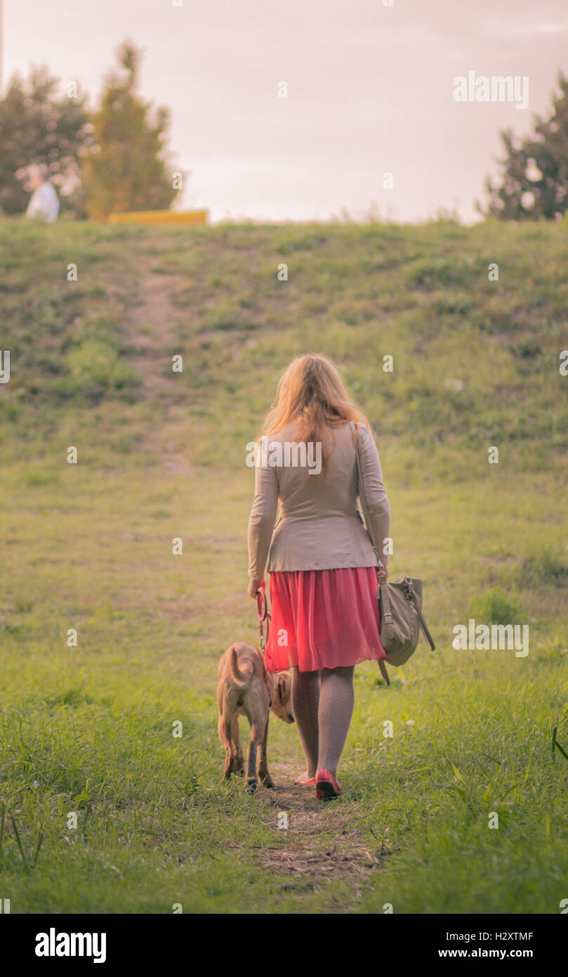 Vista trasera del adulto joven mujer paseando a un perro con sobrepeso verano Foto de stock