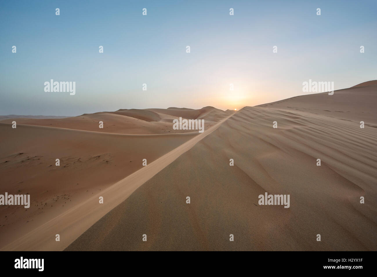 Enormes dunas de arena del cuarto vacío desierto, que cubren grandes áreas en EAU, KSA y Omán Foto de stock