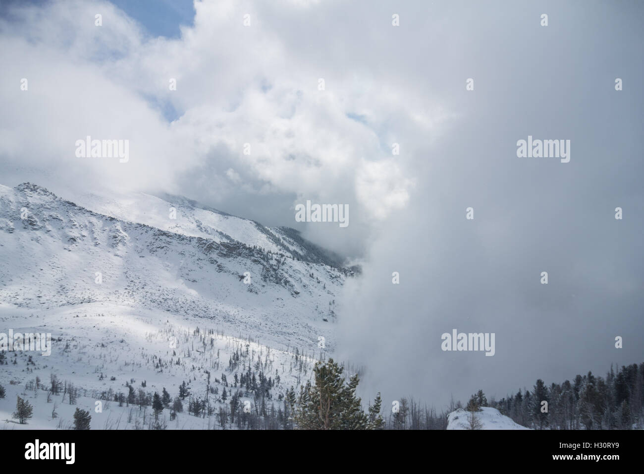 Nube de nieve cubre la cordillera y árboles Foto de stock