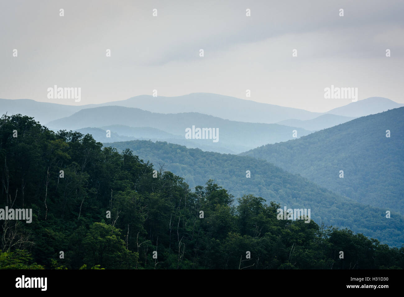 Capas de la Blue Ridge, visto en el Parque Nacional Shenandoah, Virginia. Foto de stock