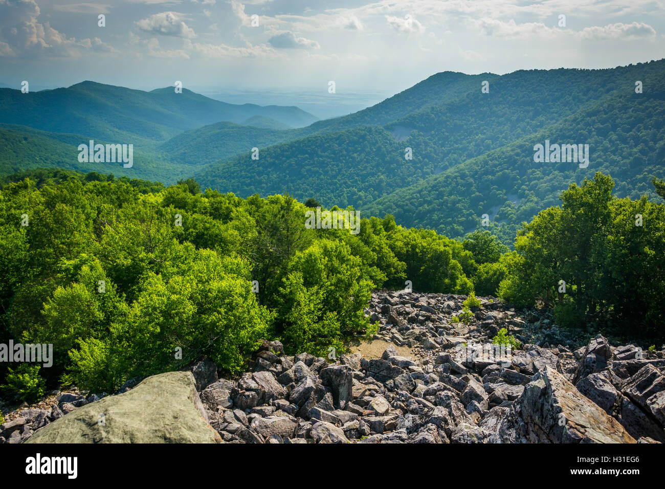 Vista de la Cumbre de Blackrock Blue Ridge, en el Parque Nacional Shenandoah, Virginia. Foto de stock