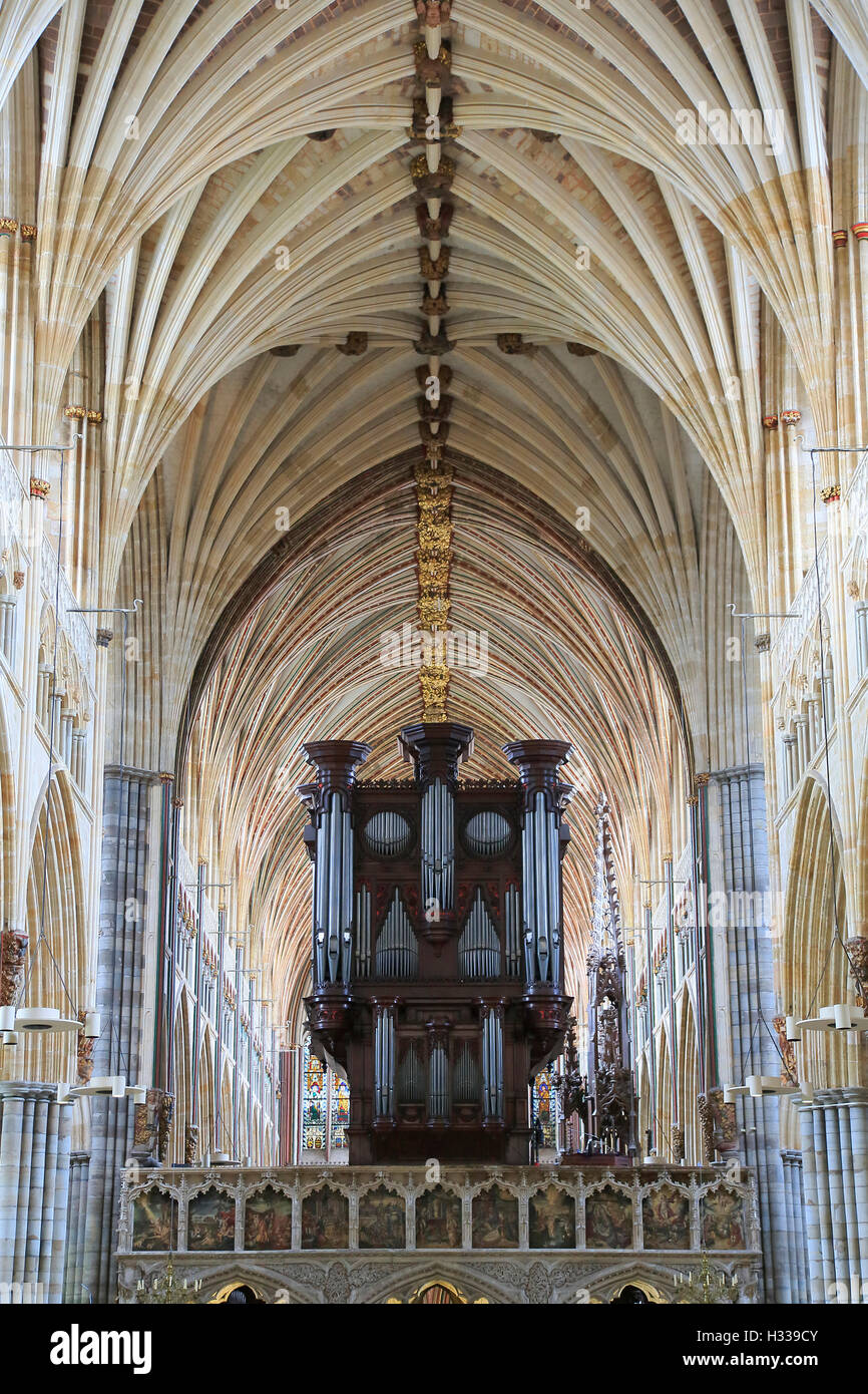 El órgano de la Iglesia Catedral de San Pedro, Exeter, Devon, Inglaterra, Reino Unido Foto de stock