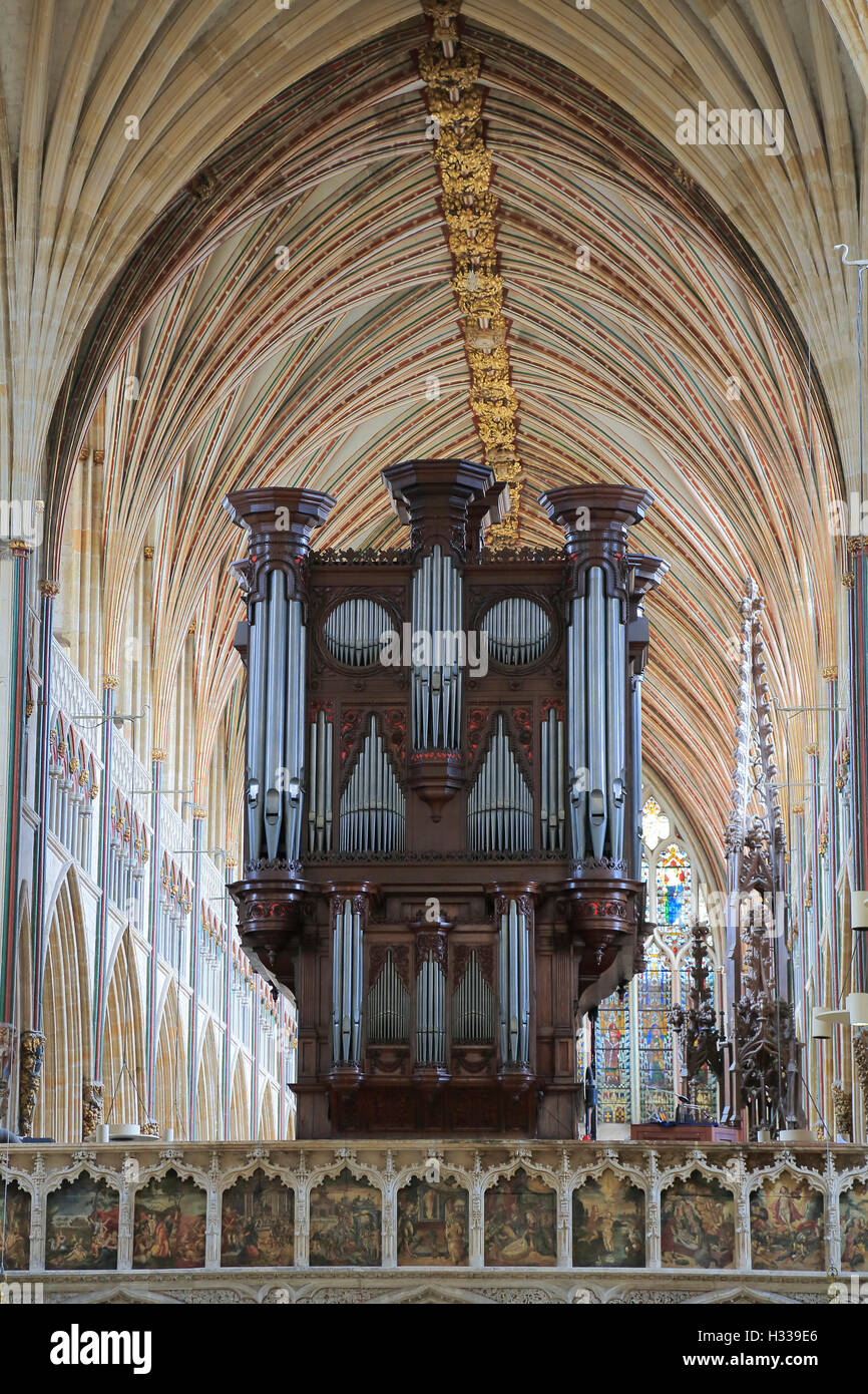 Órgano, Iglesia Catedral de San Pedro en Exeter, Exeter, Devon, Inglaterra, Reino Unido Foto de stock