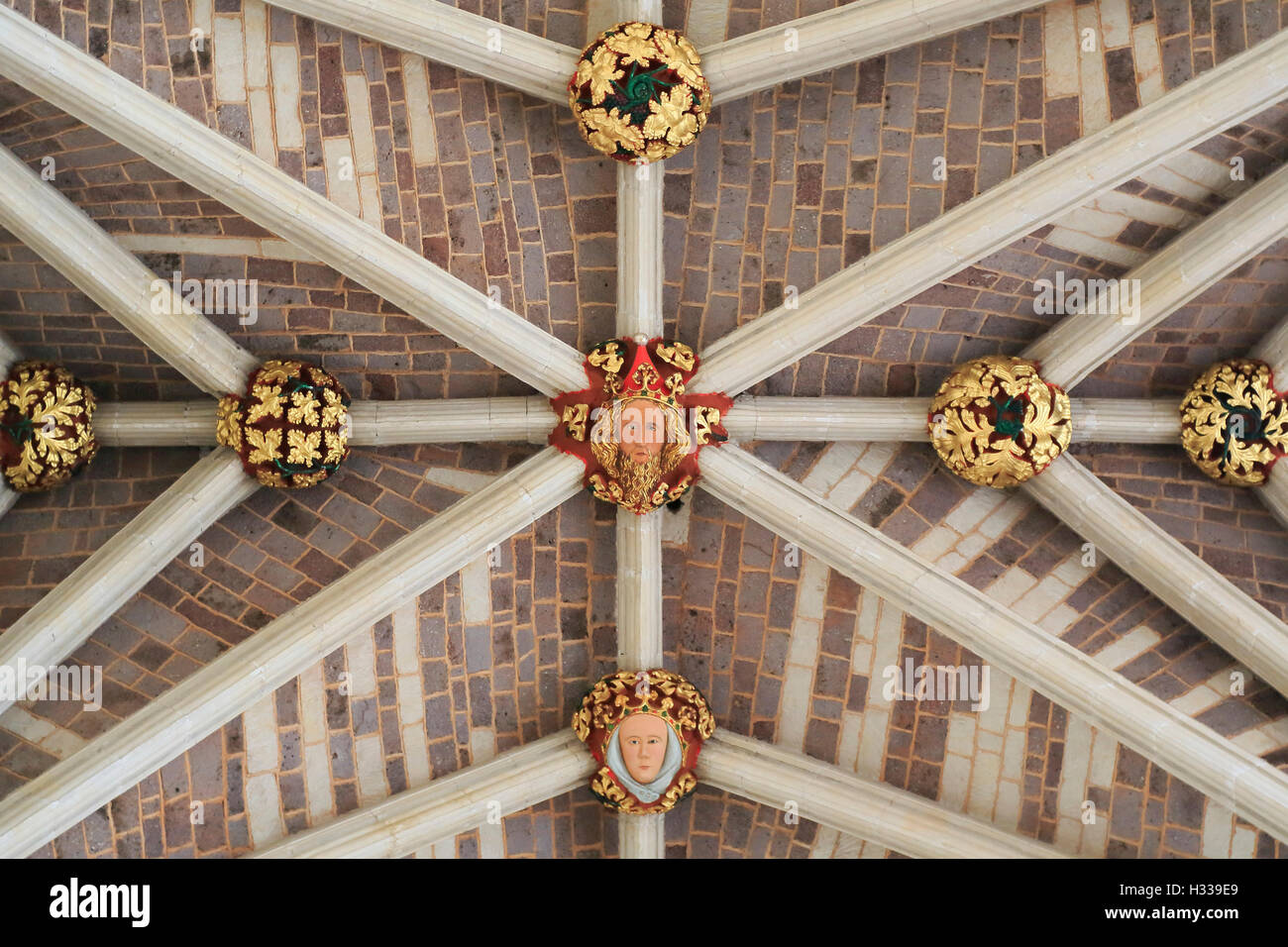 Decorado fan vaulting, nave, la catedral de Saint-Pierre, Detalle, Exeter, Devon, Inglaterra, Reino Unido Foto de stock