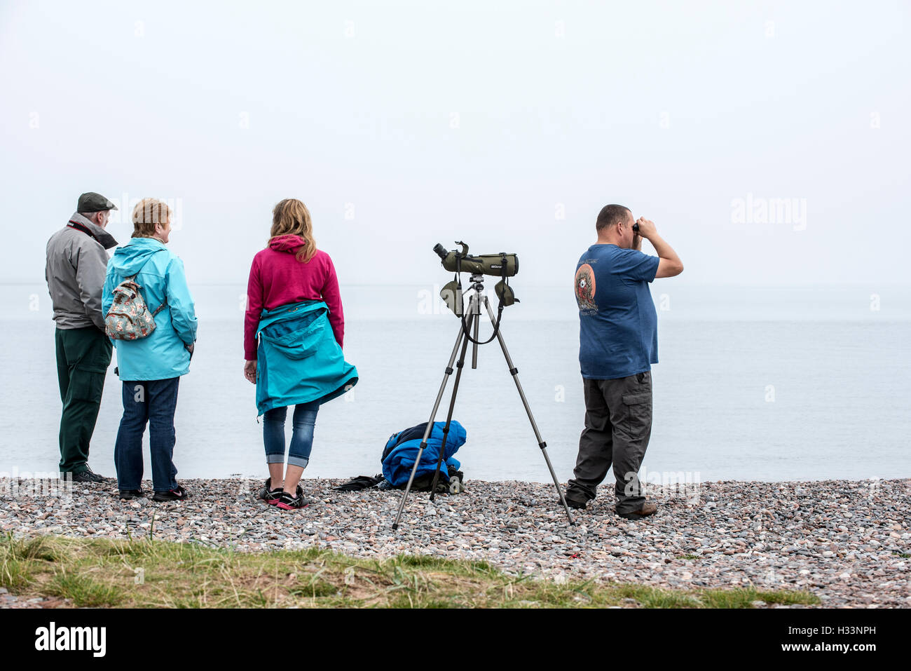 Los observadores de ballenas y delfines en busca de la fauna marina en punto Chanonry en la niebla, Moray Firth (Escocia, Reino Unido) Foto de stock