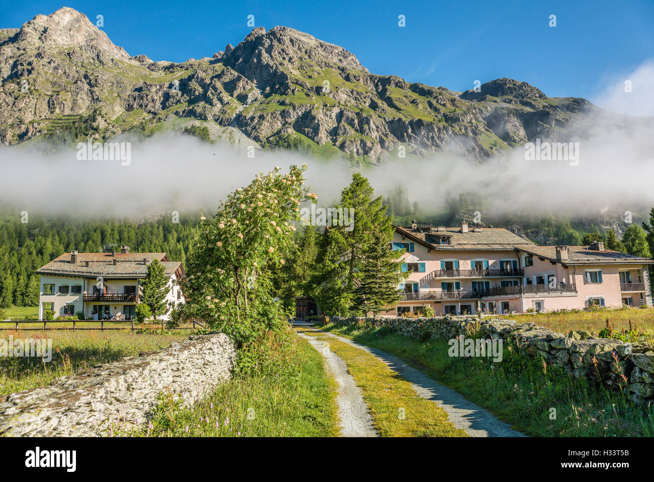 Sils Baselgia en verano, Engadine, Suiza Foto de stock