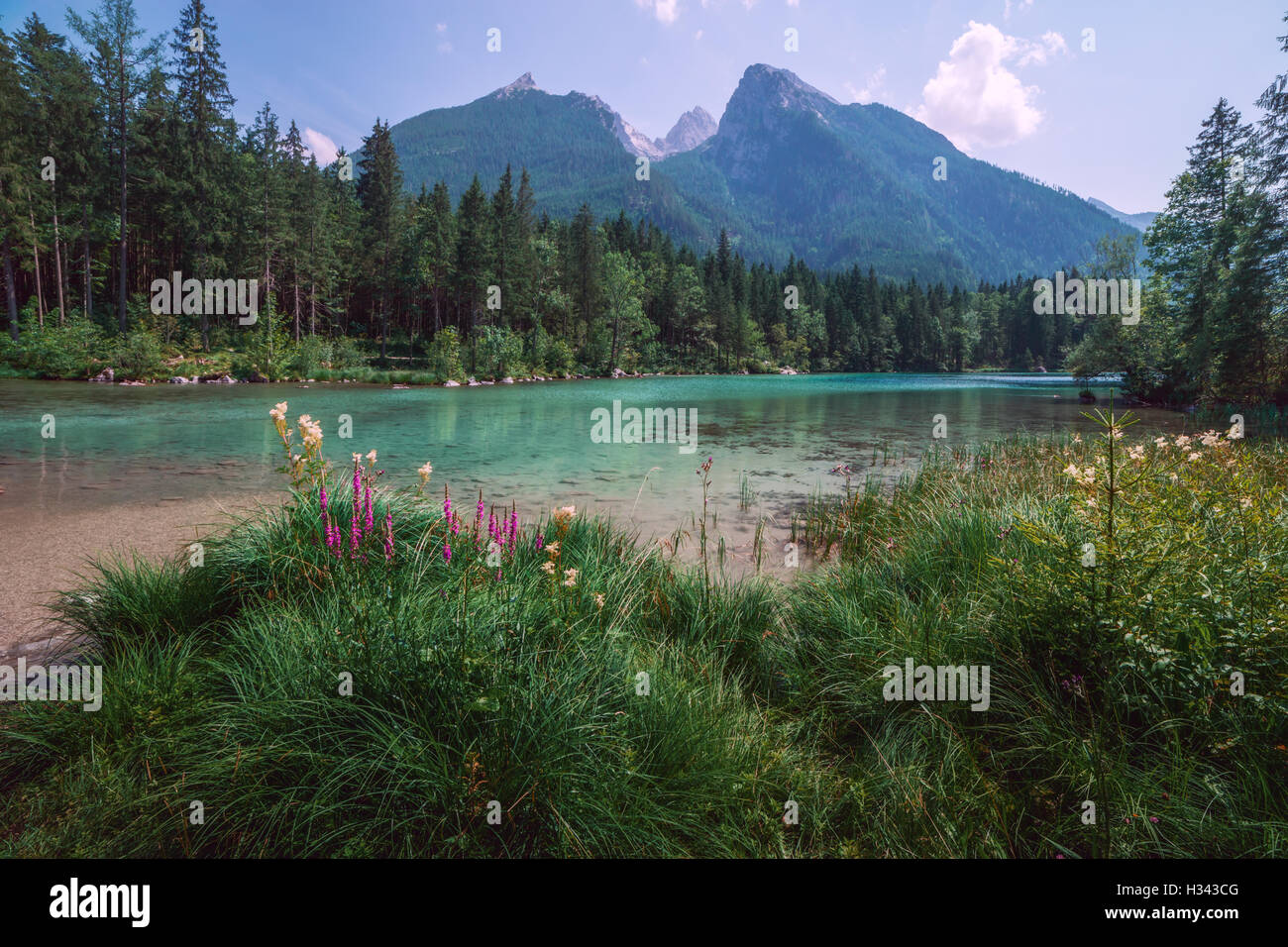 Increíble día soleado de verano en el lago Hintersee en Alpes Austríacos, Europa. Foto de stock