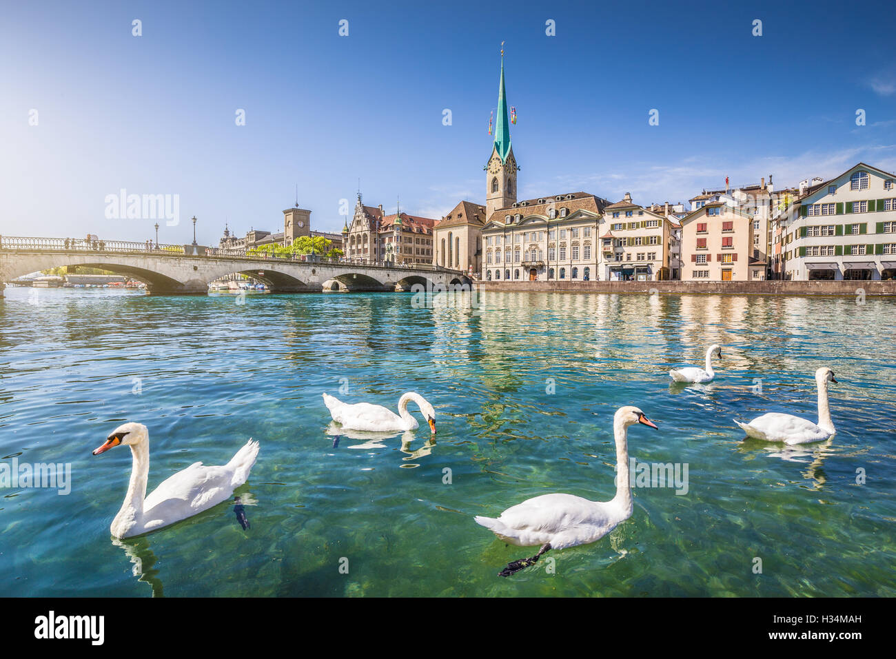Centro histórico de la ciudad de Zurich con la famosa iglesia Fraumunster y cisnes en el río Limmat, Cantón de Zurich, Suiza Foto de stock
