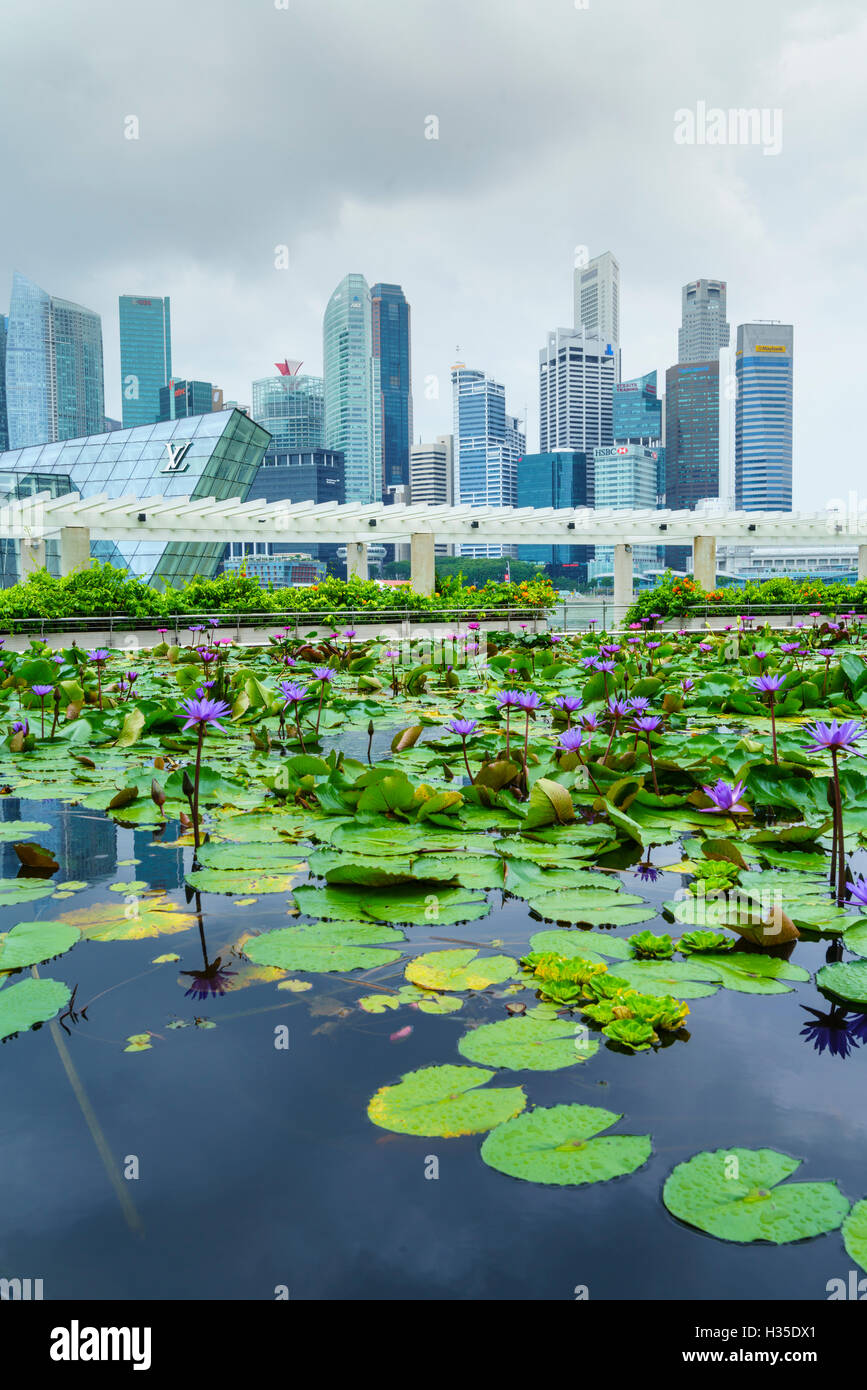 Water Lily Garden por el Museo ArtScience con vistas al horizonte de la ciudad más allá, Marina Bay, Singapur Foto de stock