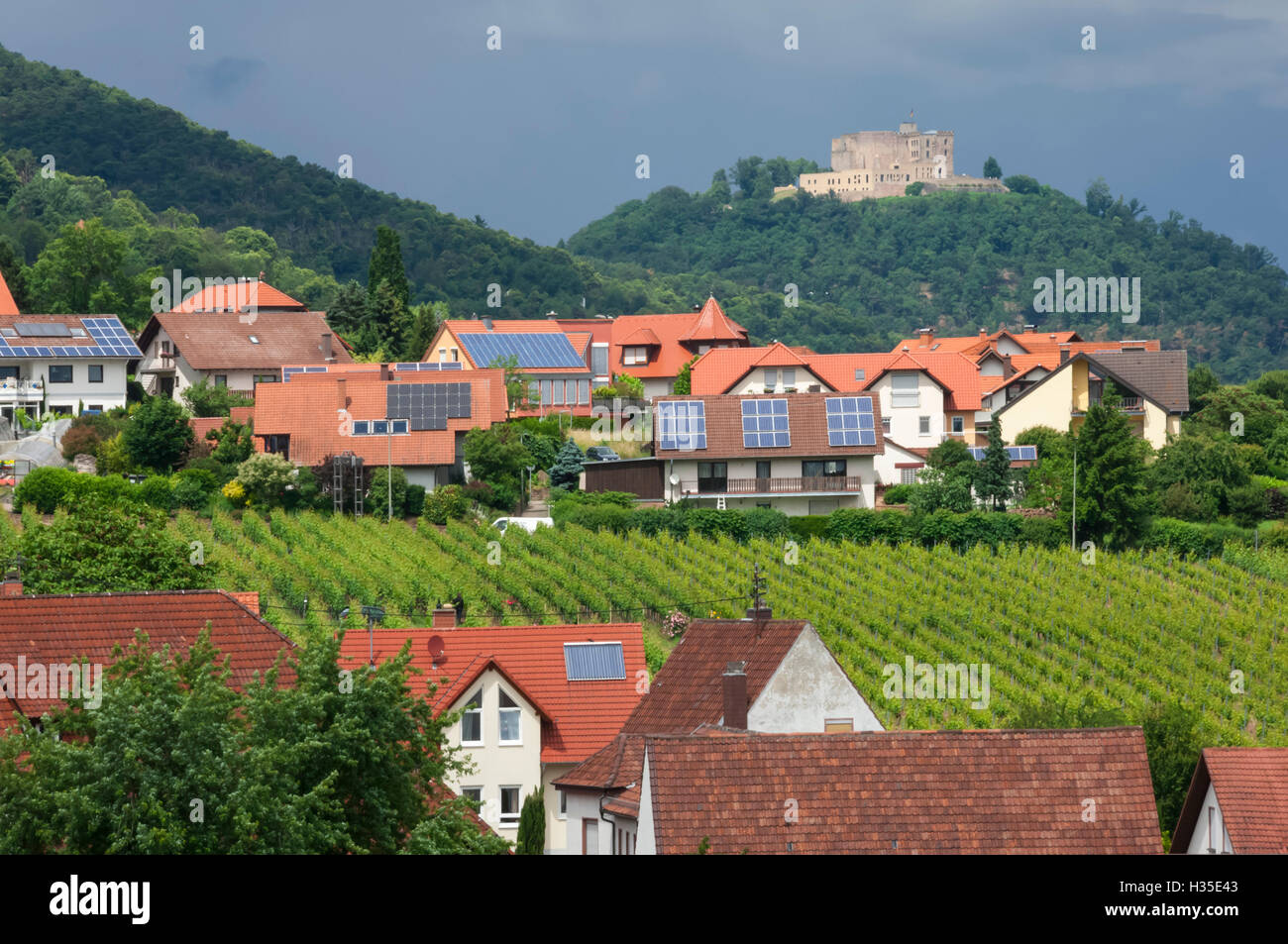 Pueblo de San Martín entre viñedos en la zona de Pfalz, Alemania Foto de stock