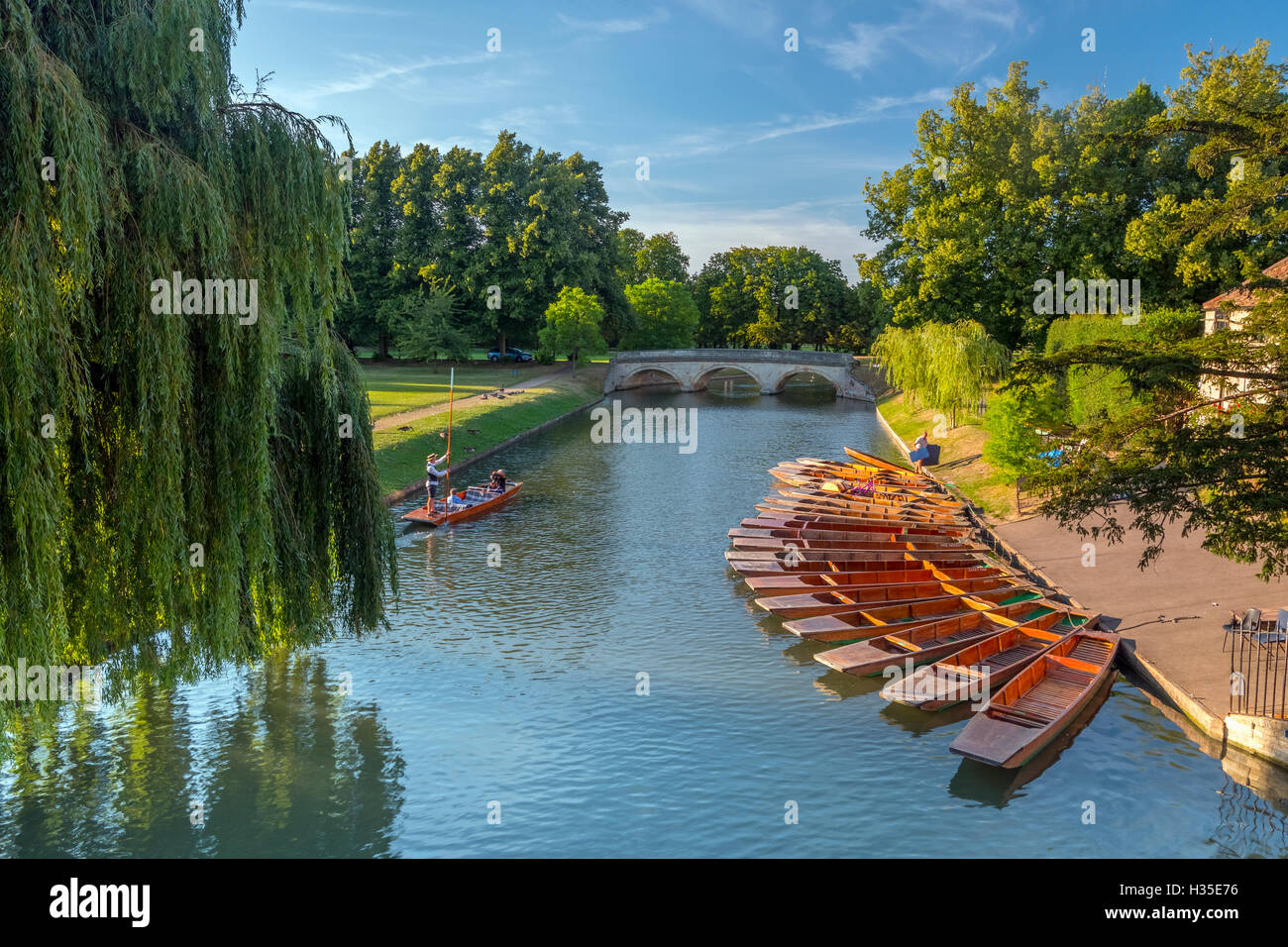 Punts en la espalda, Río Cam, Cambridge, Cambridgeshire, Inglaterra, Reino Unido. Foto de stock