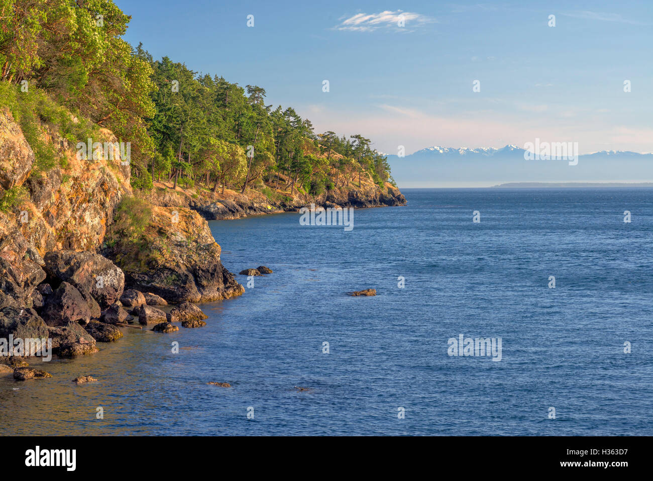 Ee.Uu., Washington, la Isla San Juan, Pacífico y madrone Douglas Fir crece por encima de costa rocosa en San Juan County Park. Foto de stock