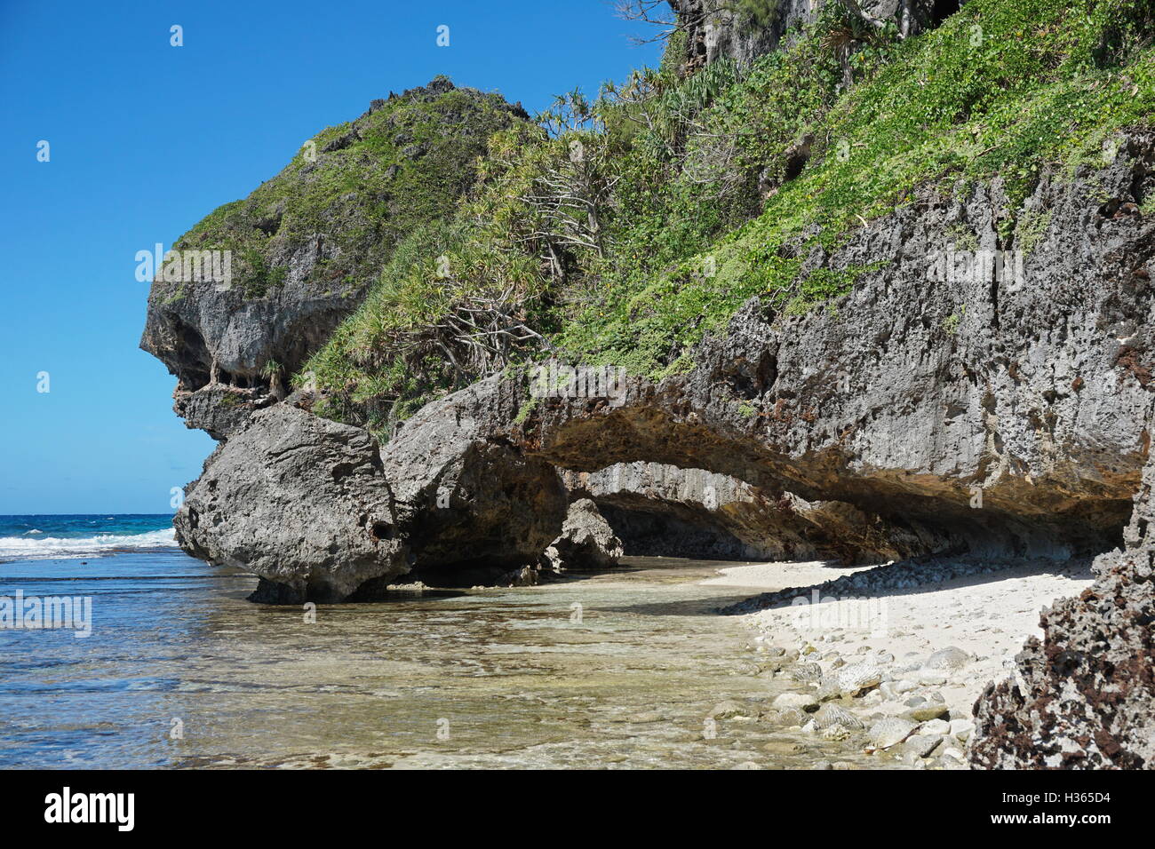 Acantilados de piedra caliza erosionada con un arco natural en la costa del océano Pacífico, Isla de Rurutu, austral archipiélago, Polinesia Francesa Foto de stock