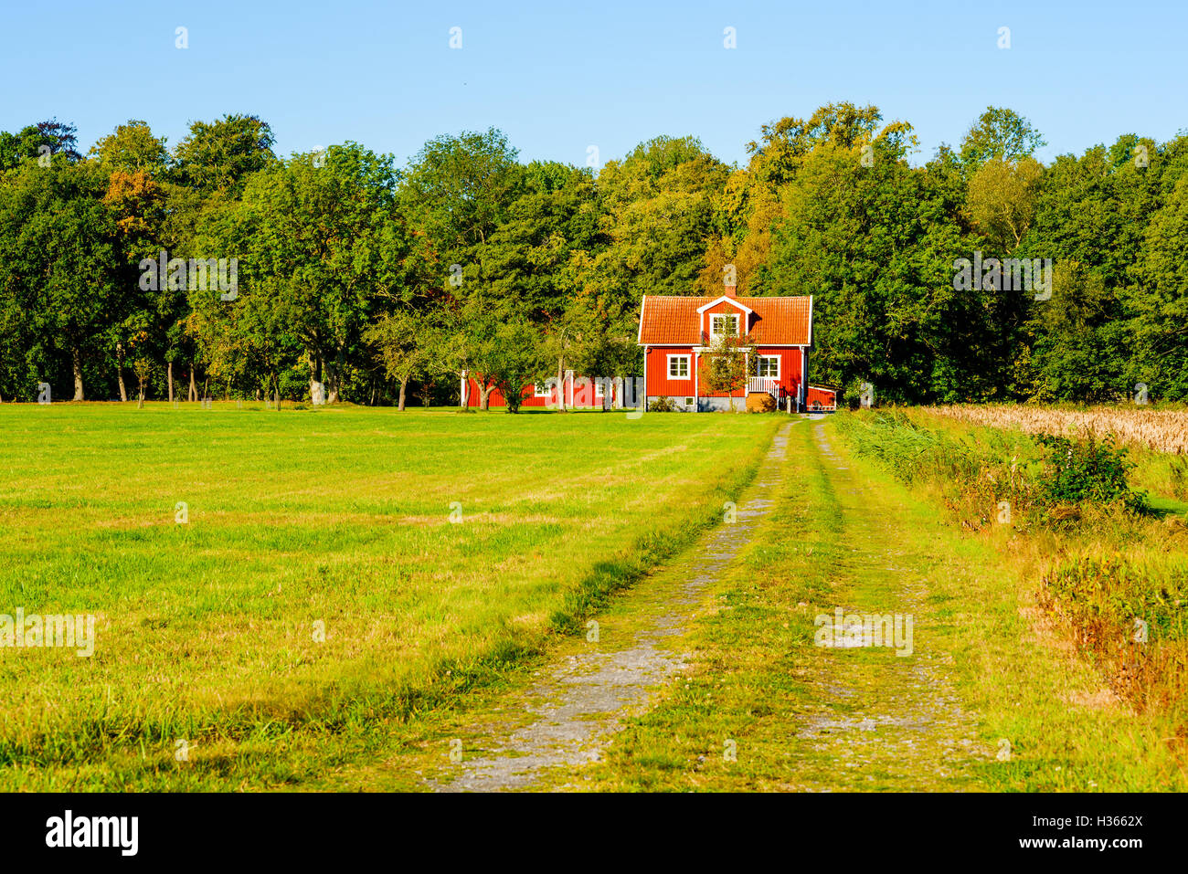 Morrum, Suecia - Octubre 4, 2016: Documental Ambiental de tradicional Sueca Roja pequeña casa, rodeado de campo y bosque Foto de stock