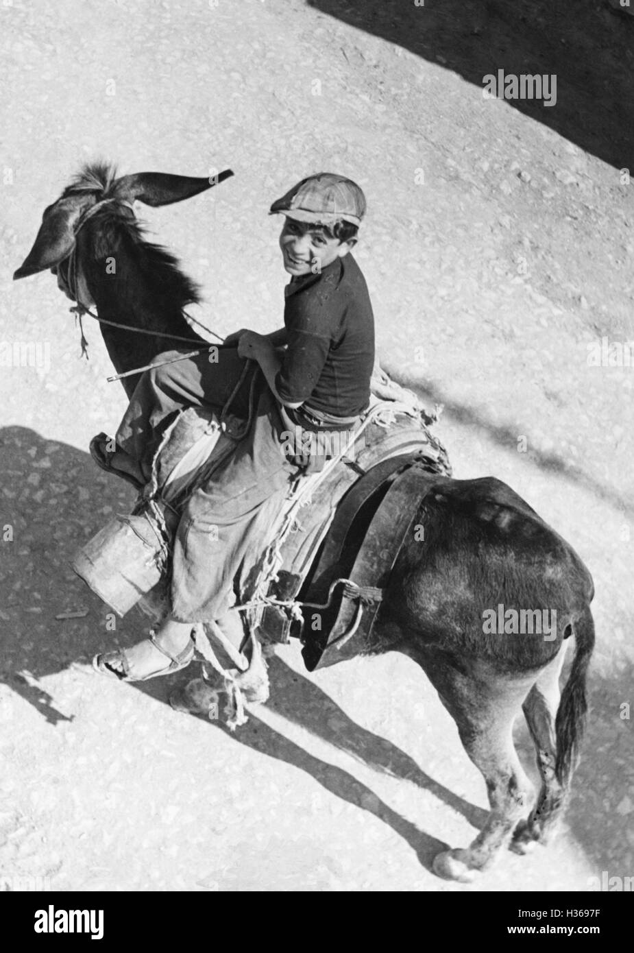 Hombre En Balaclava Parece Sospechosamente Cerrado Aislado En Un Contexto  Blanco Foto de archivo - Imagen de burro, negro: 177140840