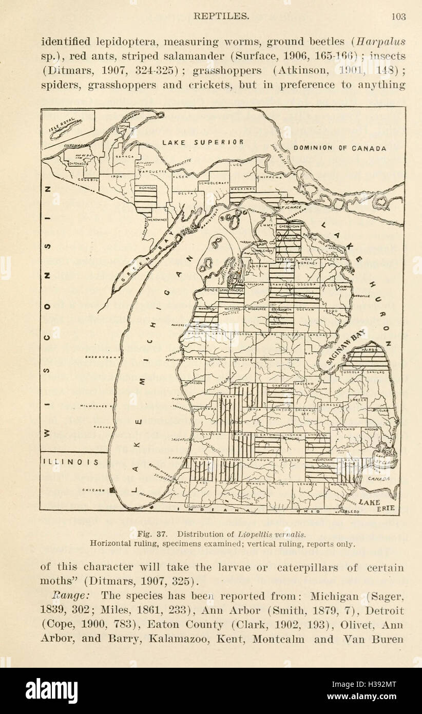 La herpetología de Michigan (página 103, Fig. 37) BHL205 Foto de stock