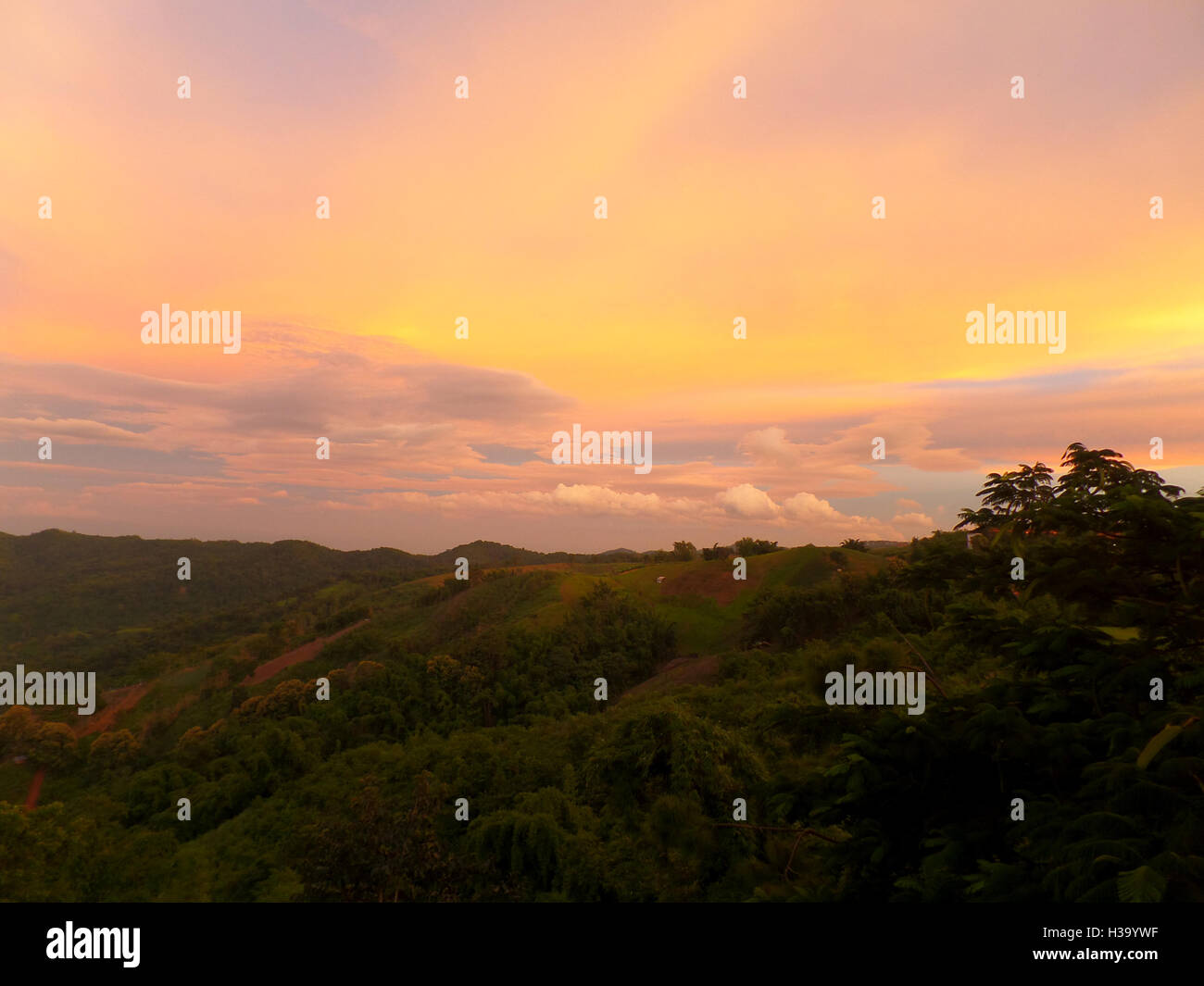 Gradación de amarillo y rosa del cielo después de la puesta del sol, el fondo Foto de stock