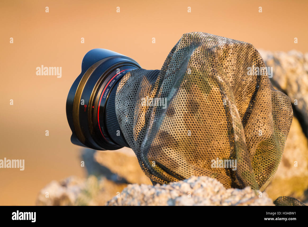Configurar la cámara camuflada en las rocas para fotografiar aves.  Provincia de Lleida. Cataluña. España Fotografía de stock - Alamy
