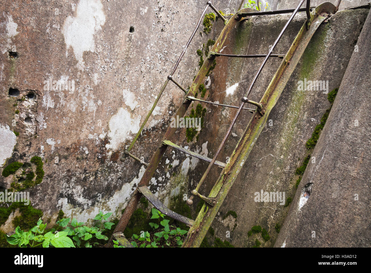 Rusted metal viejo escalera sube sobre grunge muro de hormigón Foto de stock
