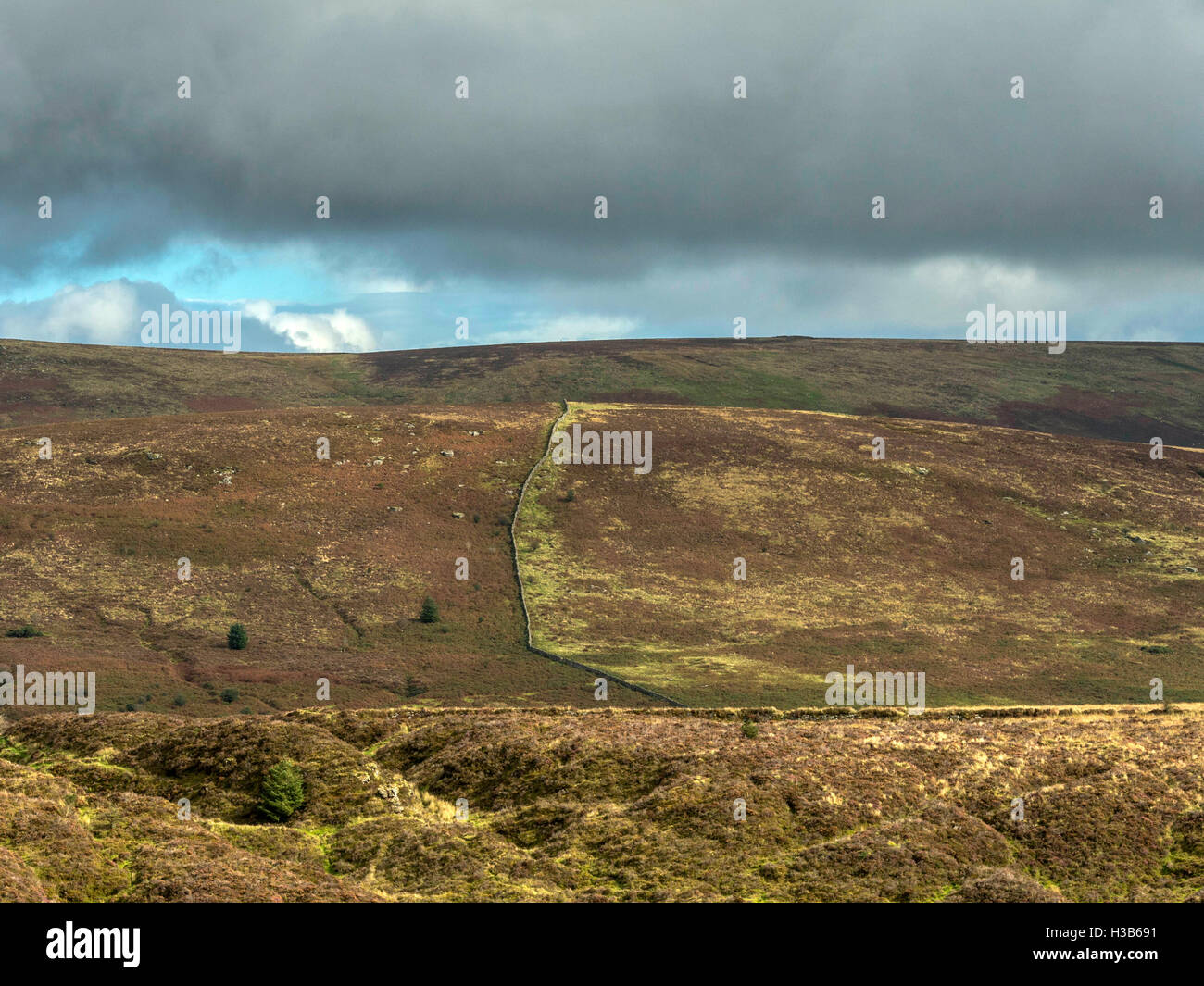 Hermoso paisaje del Parque Nacional de Dartmoor con el rústico páramos a finales de otoño. Imagen tomada cerca Postbridge, Devon. Foto de stock